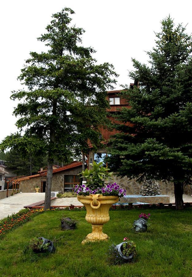 Хотел Галина Палас Srem Esterno foto