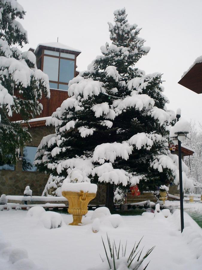 Хотел Галина Палас Srem Esterno foto